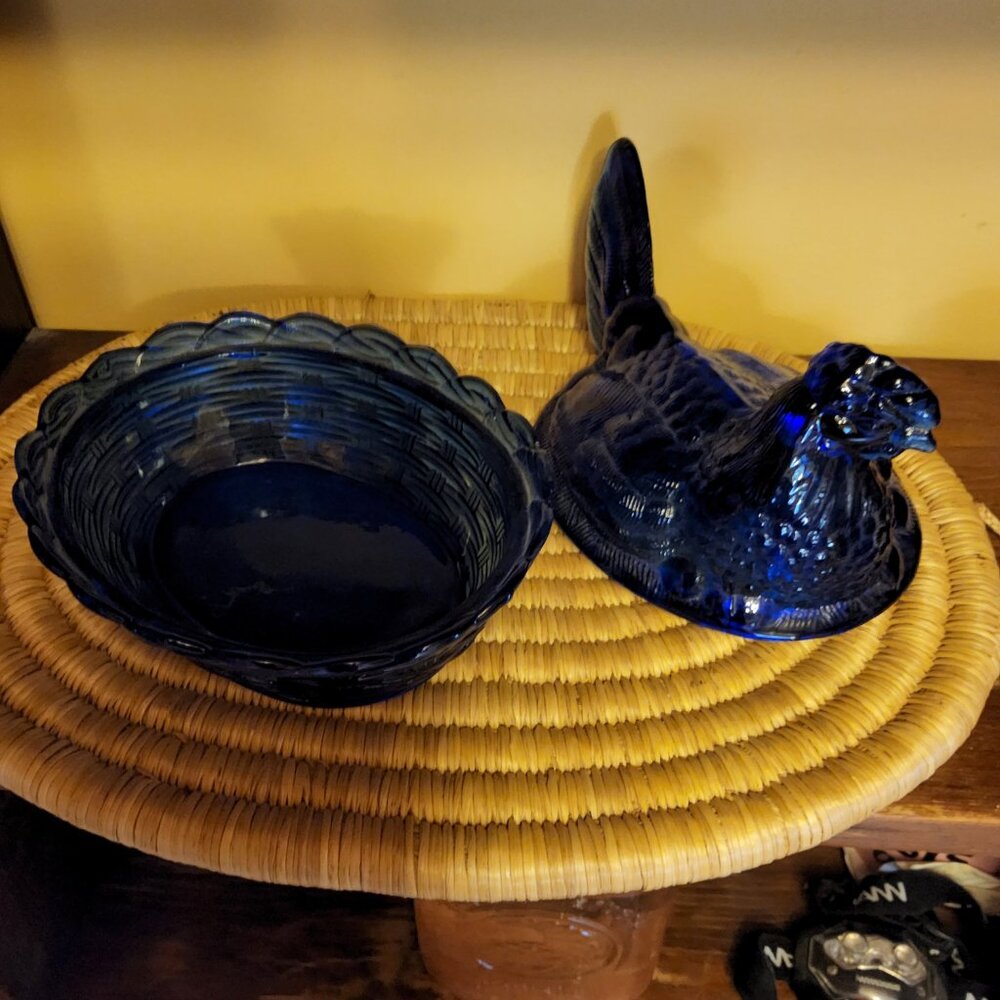 Mosser Cobalt blue Hen on nest